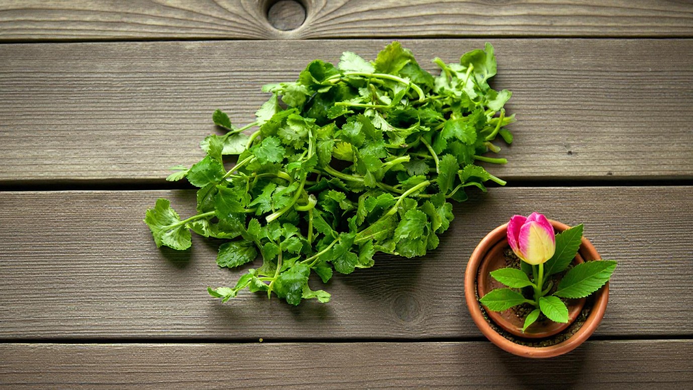 Green leafy vegetable