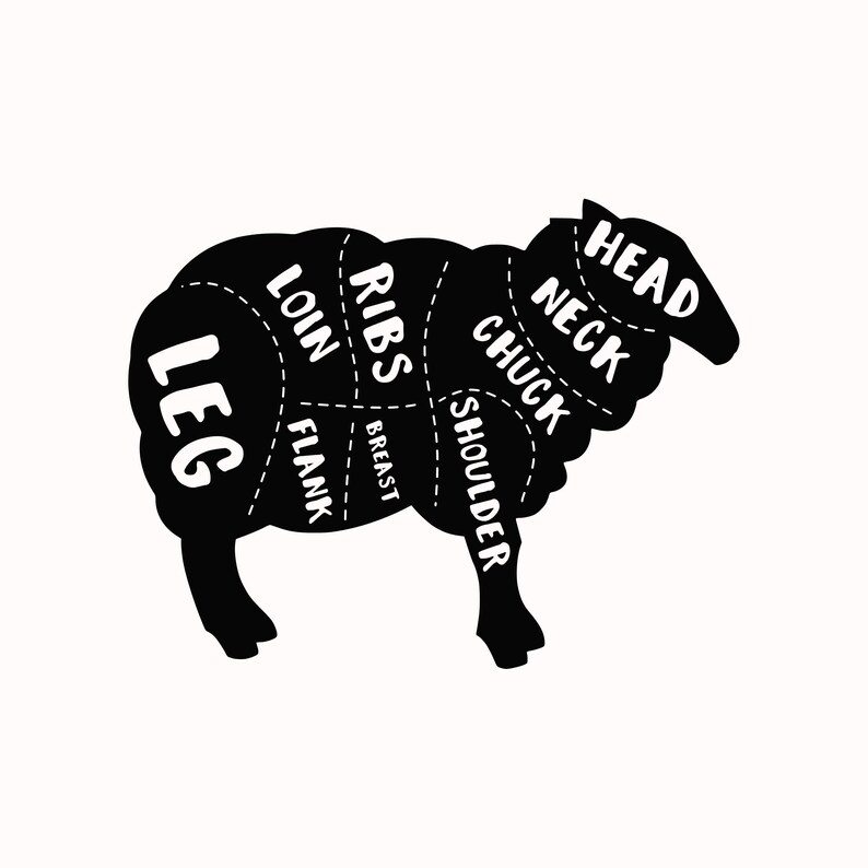 sheep meet