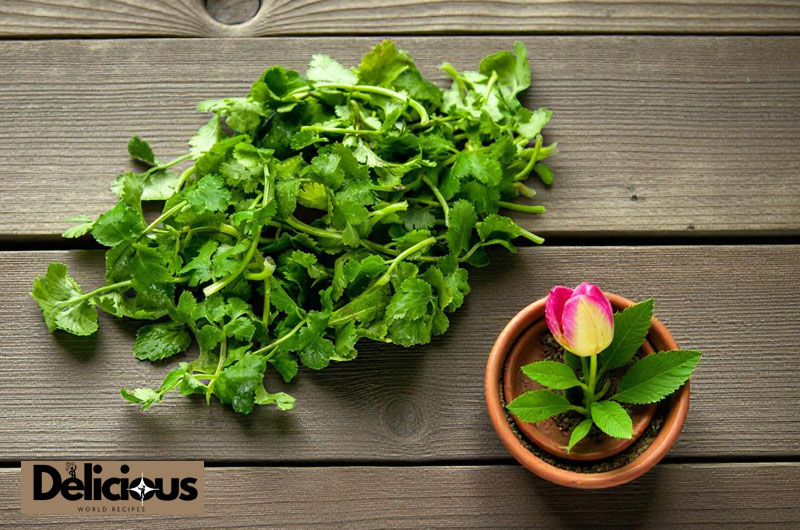 fresh parsley or cilantro